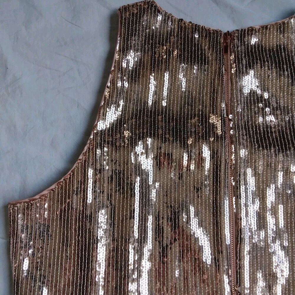 Flapper Dress Lined Champagne Pink 1920s Style Gatsby Sequins Fringe Size 14 - Picture 11 of 11